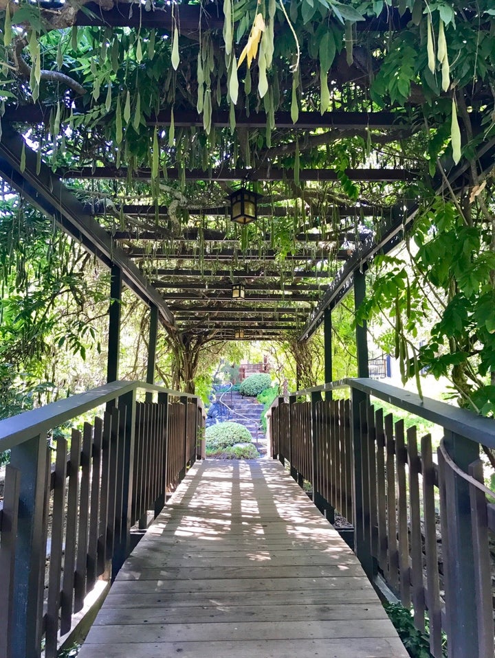 One of the many Japanese Inspired walkways at the Golden Door.