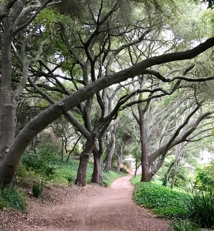 A view of the many walking paths at the Golden Door.