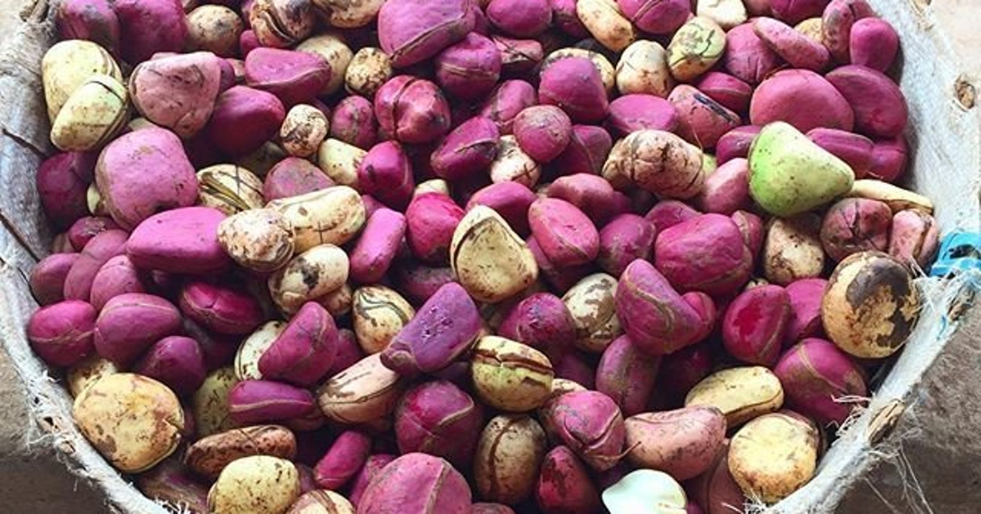 bitter-kola-nut-and-diabetes-does-it-work-jiji-blog