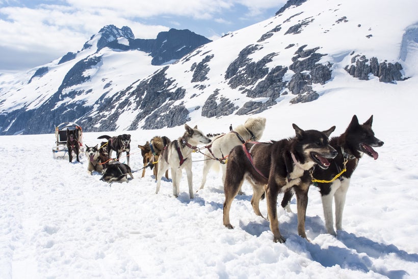 Dog sled in Alaska