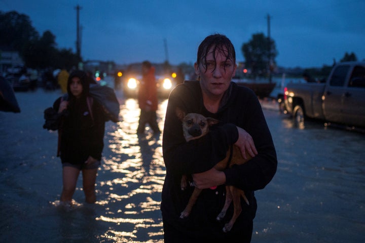 A woman holds her dog on Monday as she arrives to high ground after evacuating her home in east Houston.