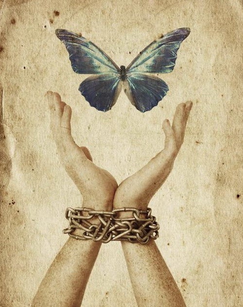 <p>Freedom born out of struggle </p>