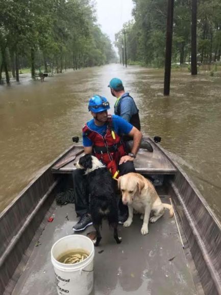 Volunteers for the Islamic Society of Greater Houston rescue dogs trapped in Hurricane Harvey.