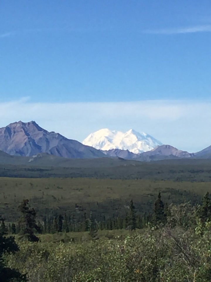 Only 30 percent of visitors to Denali actually see the mountain.