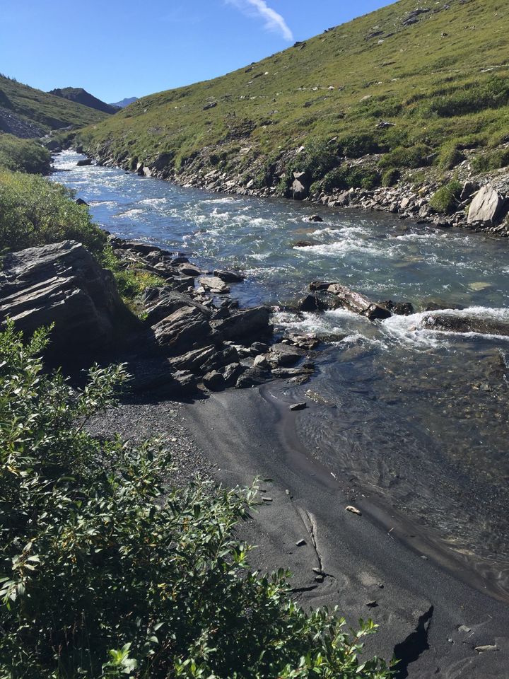 Savage River, Alaska