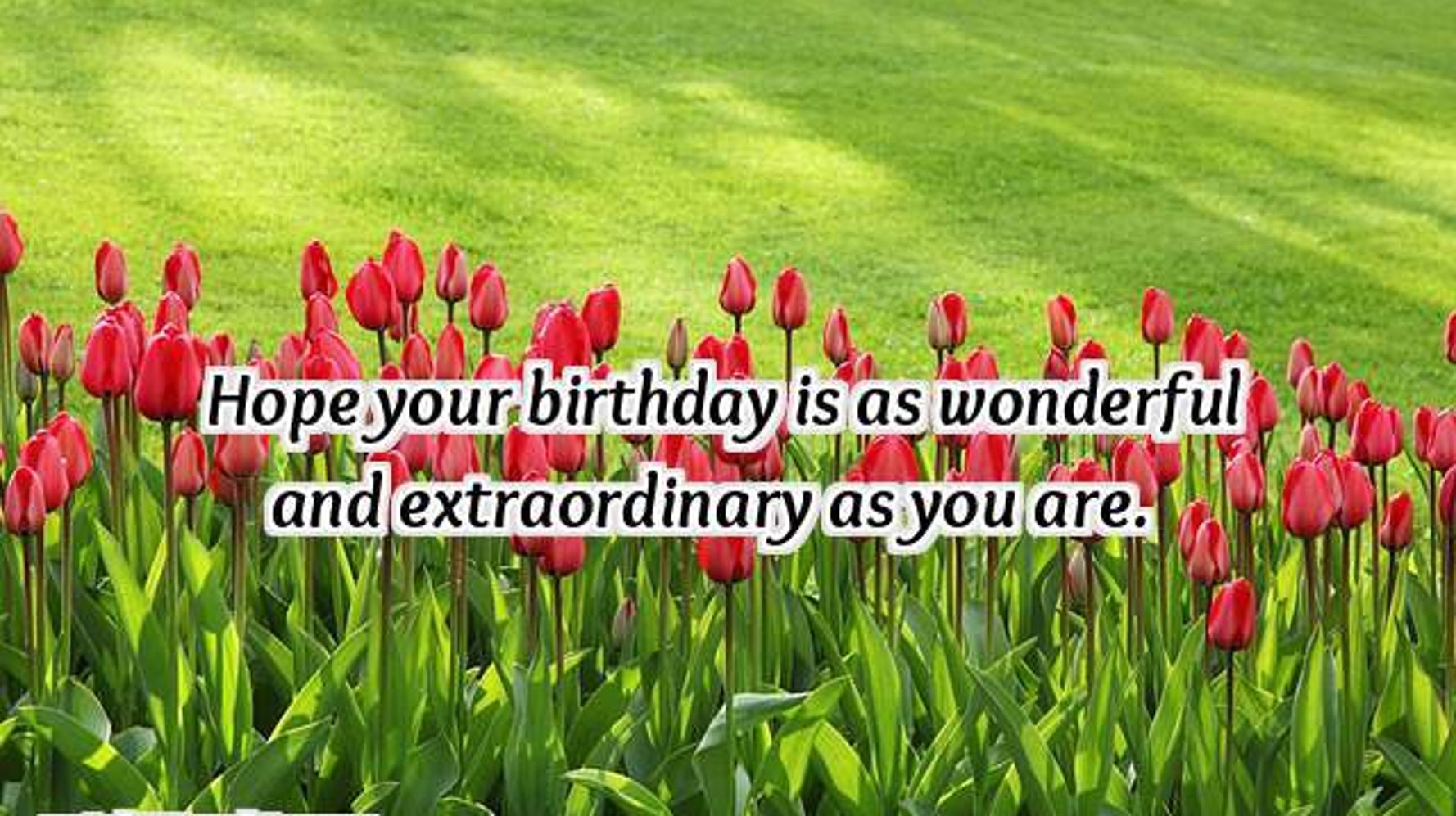 Beautiful Birthday Wishes For Friend