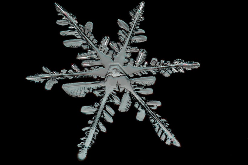 Conservatives often label liberals as “snowflakes” in order to shut down discussion.