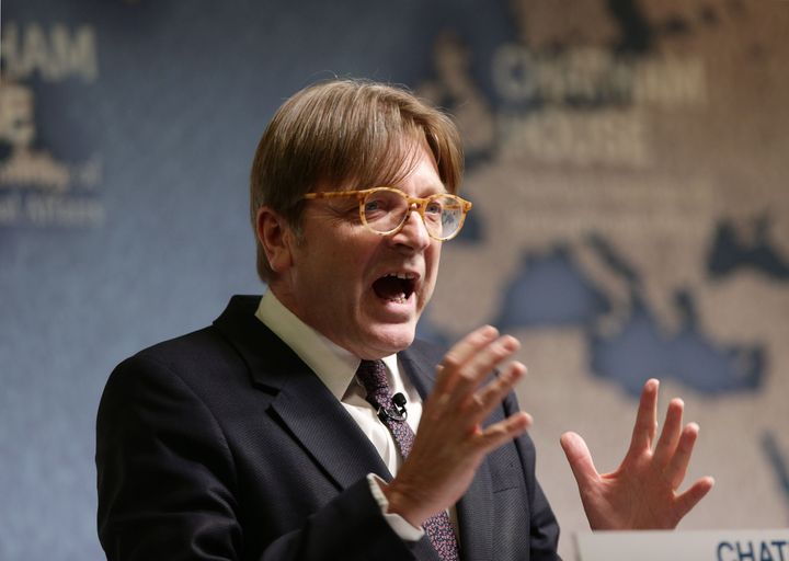 European Parliament Brexit co-ordinator Guy Verhofstadt