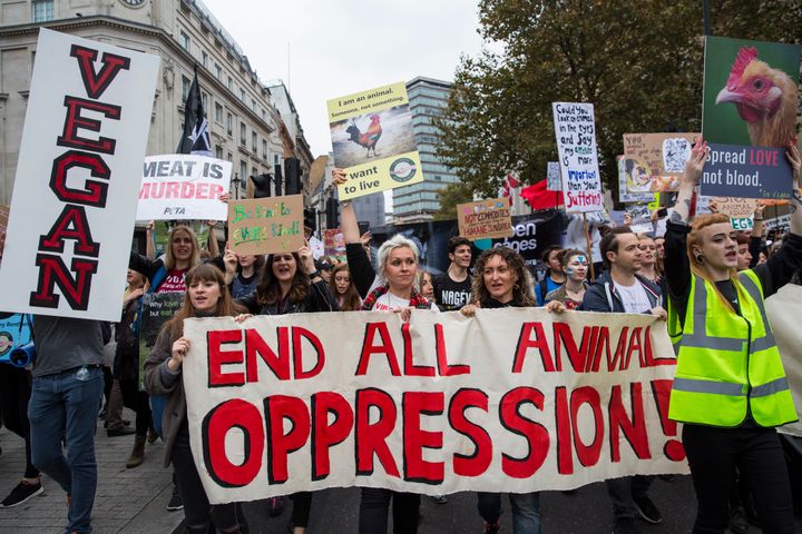 Protesters at last year's Official Animal Rights March through London.