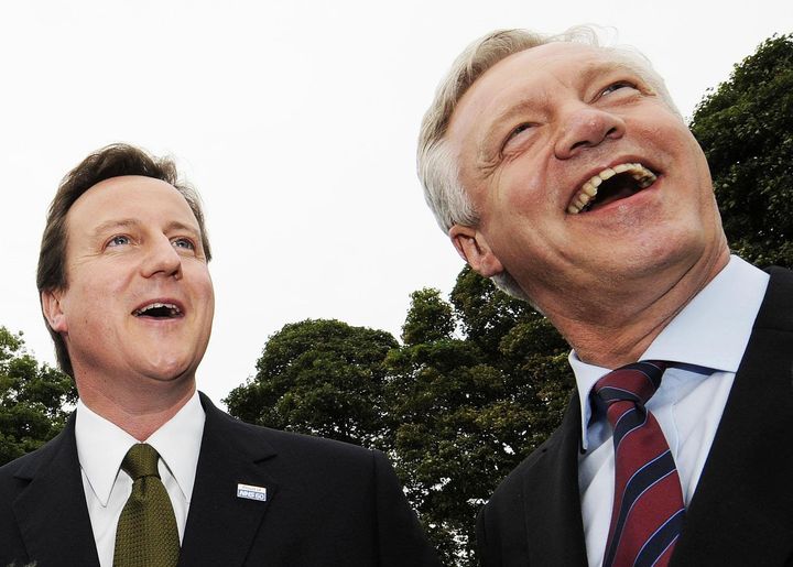 David Cameron beat David Davis to the party leadership