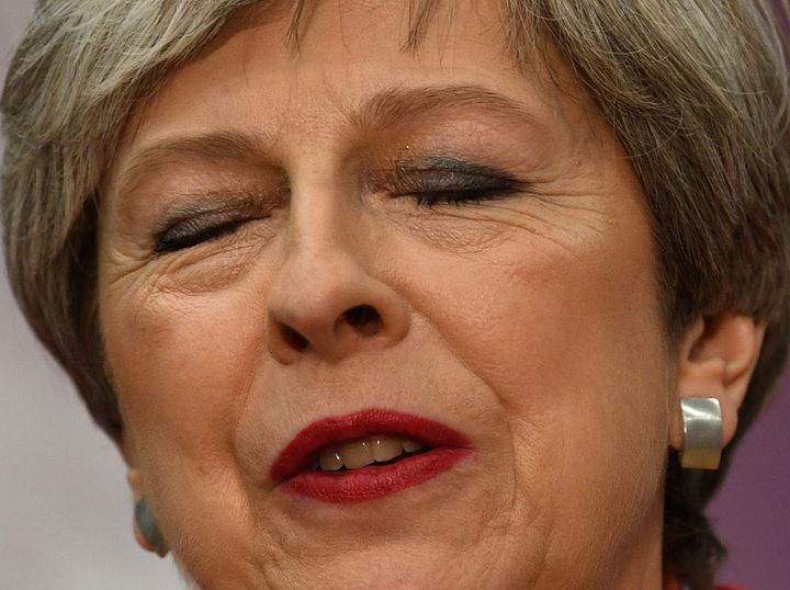 Theresa May reportedly ignored advice from the Tories' chief elections guru