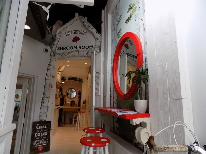 <p>Narrow entry to Venice’s Shroom room, where one can sample and learn about the healing powers of superfood mushrooms.</p>