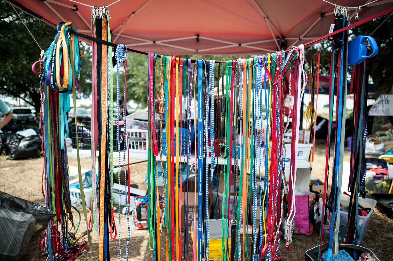 Donated leashes in Katy, Texas, on Sunday.