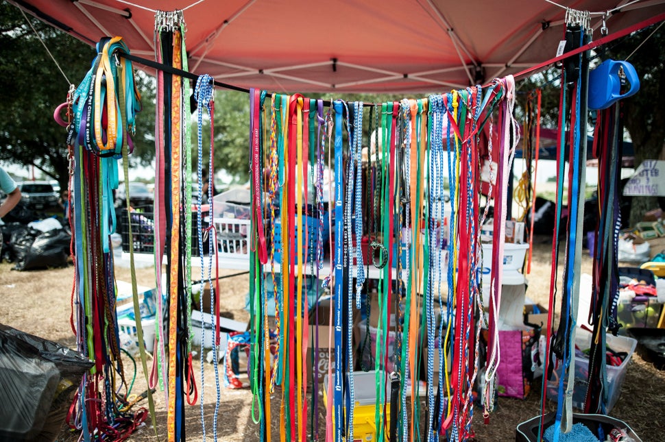 Donated leashes in Katy, Texas, on Sunday.