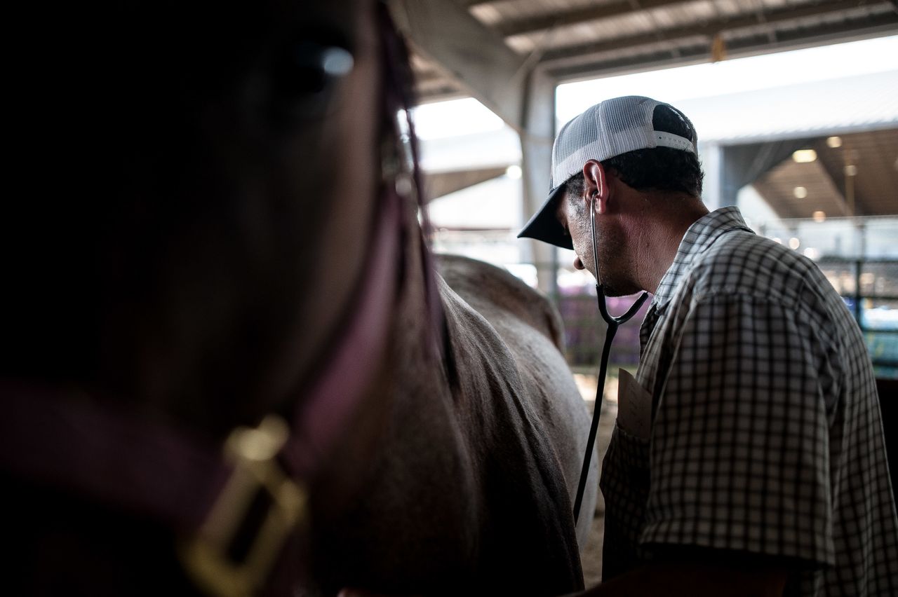 Dr. Nick Moore, of Georgetown, Texas, checks up on a horse at Ford Park.