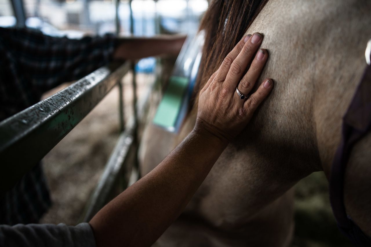 Christina Coots pets her horse, Beauty, at Ford Park in Beaumont, Texas, where horses were brought for medical care during the storm.