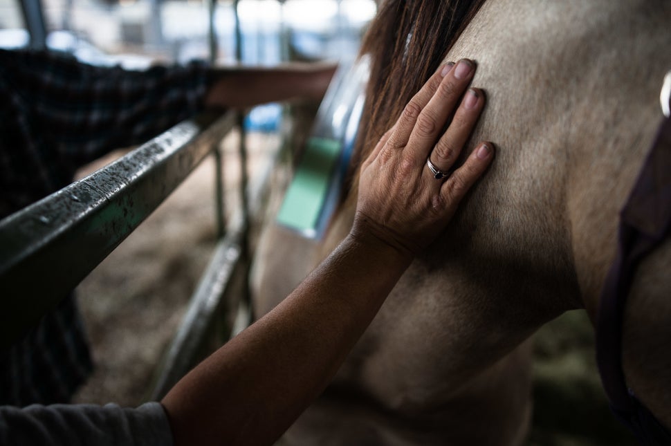 Christina Coots pets her horse, Beauty, at Ford Park in Beaumont, Texas, where horses were brought for medical care during th