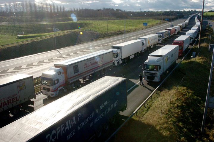 Mike Coupe said the strict border checks would have a 'detrimental affect in freshness' (lorries queueing at Dover pictured)