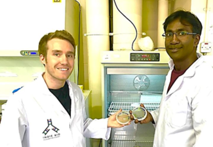<p><strong>Cofounders of MicroSynbiotiX (Left- Antonio Lamb, Right- Simon Jegan Porphy Jegathese) celebrating their acceptance to Rebel Bio with some lab work.</strong></p>
