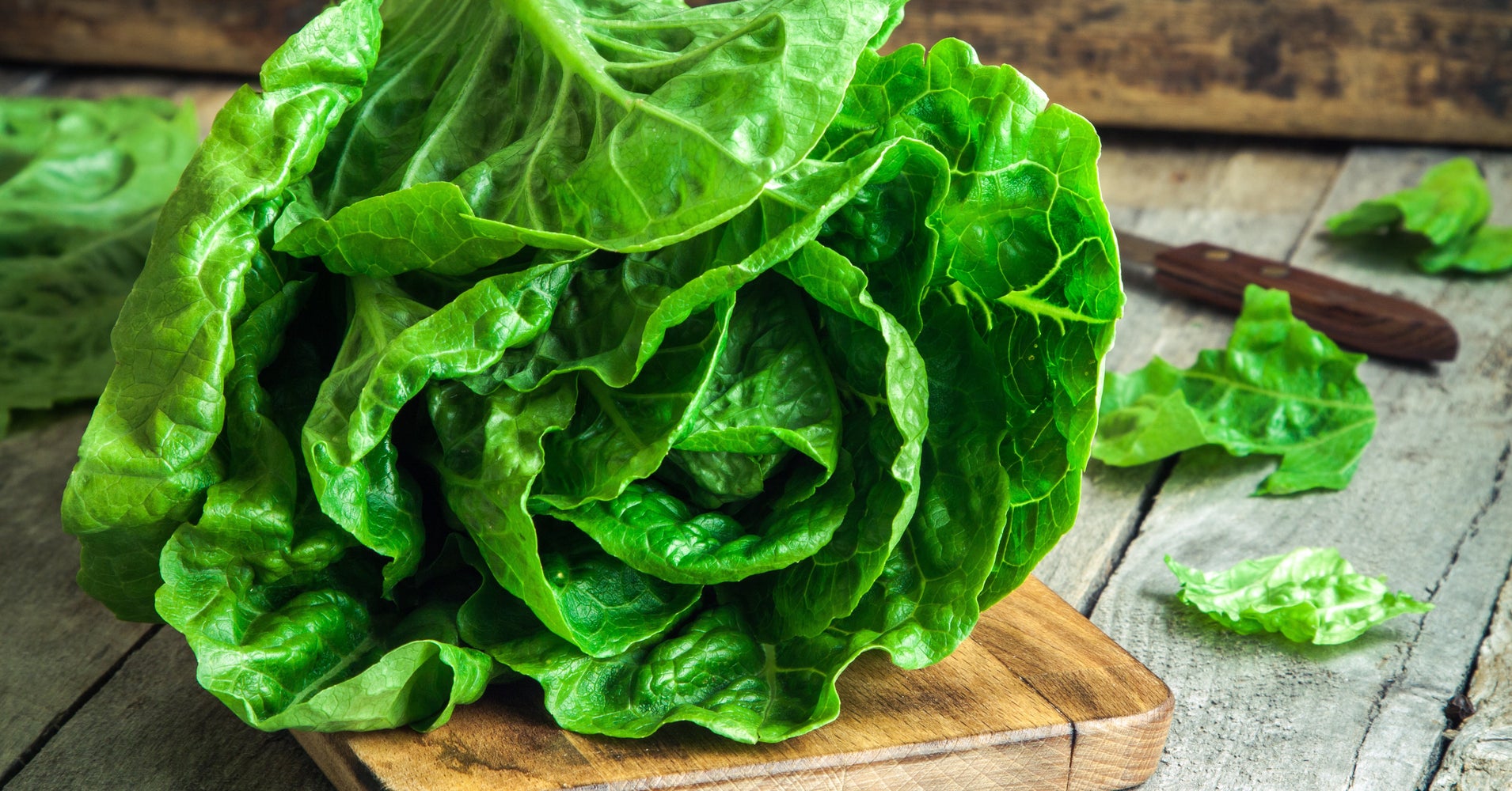 The Best Salad Greens Ranked By Nutrition Huffpost Life