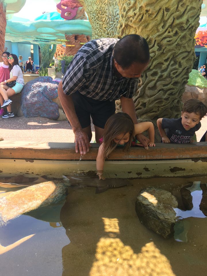 <p>London and Miles enjoying the touch tank and petting a shark at SeaWorld with grandpa. </p>