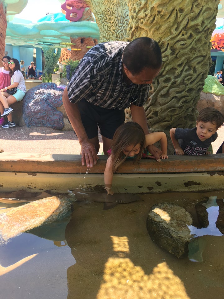 London and Miles enjoying the touch tank and petting a shark at SeaWorld with grandpa. 