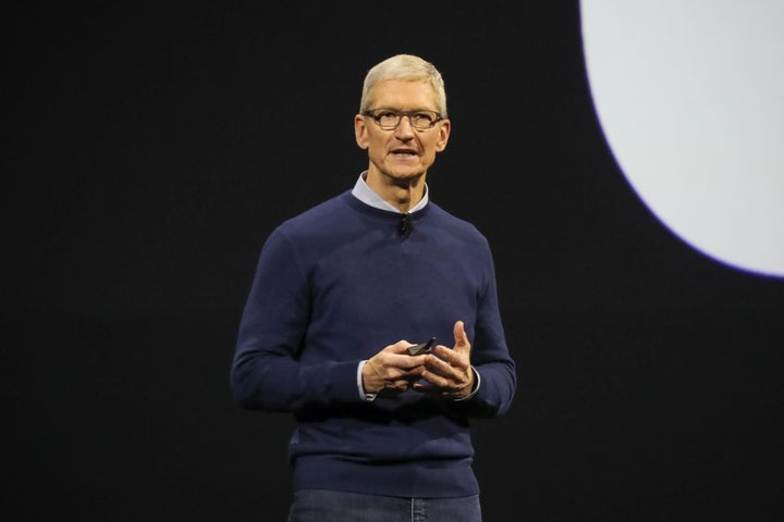 <p>Apple CEO Tim Cook</p>