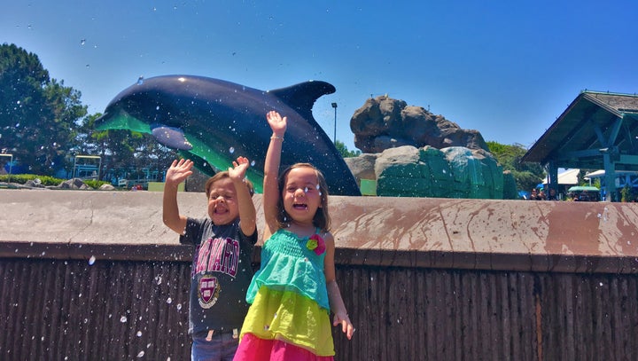 At the Dolphin Encounter at SeaWorld in San Diego, Calif. 