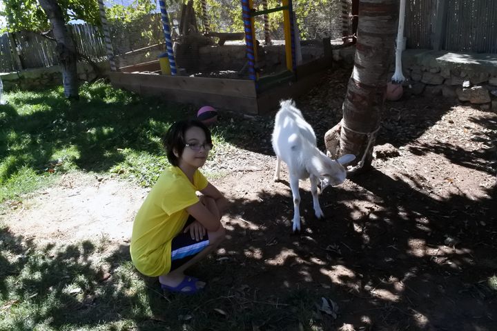 <p>My son playing with a baby goat at Taverna Aravanes.</p>
