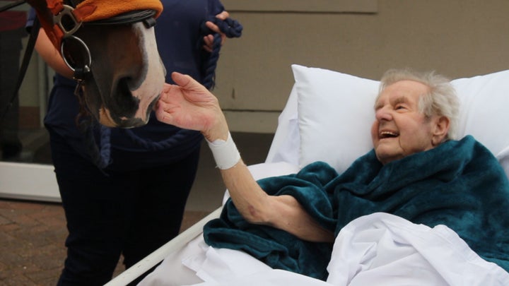 The horse brought a smile to Patrick Saunders' face.