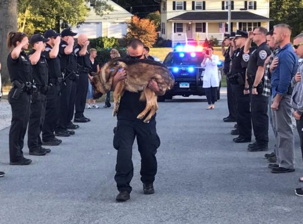 Officer Michael D'Aresta carries Hunter as the Middletown Police Department officers and workers stand in a show of respect.