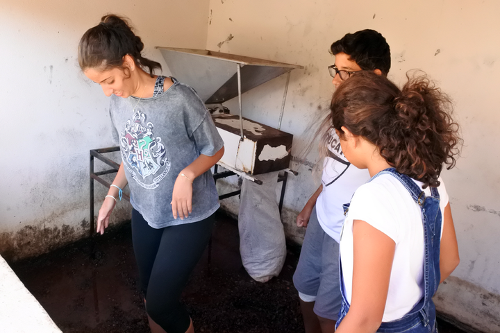 <p>Wine is still made traditionally on Crete, without industrial means. Grape treading is common in many households. </p>