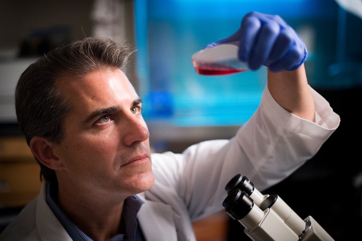 <p> </p>
<p>Michael A. Dyer, Ph.D., is a Howard Hughes Medical Institute investigator and chair of the St. Jude Children’s Research Hospital Department of Developmental Neurobiology. </p>