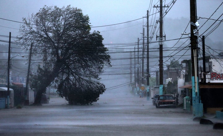 <p>A street in Fajardo, Puerto Rico, where Hurricane Irma ravaged buildings and knocked trees into overhead cables.</p>