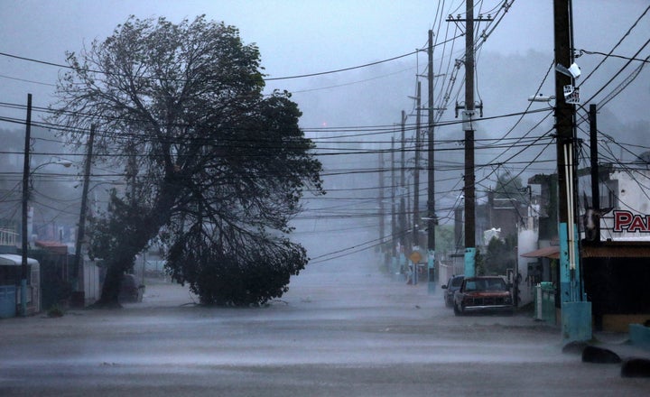 A street in Fajardo, Puerto Rico, where Hurricane Irma ravaged buildings and knocked trees into overhead cables.