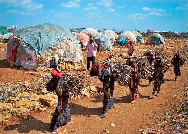 Displaced women carry firewood in a camp on the outskirts of Baidoa, Somalia, March 2017.