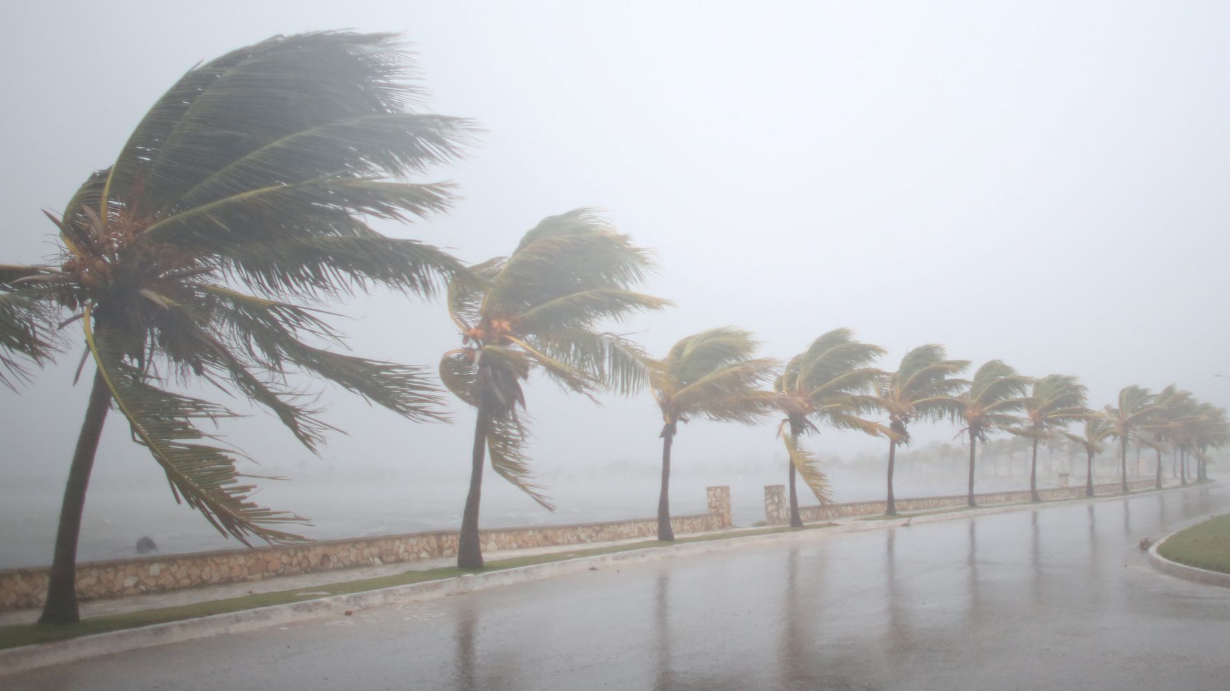 Here's How To Help The Victims Of Hurricane Irma | HuffPost