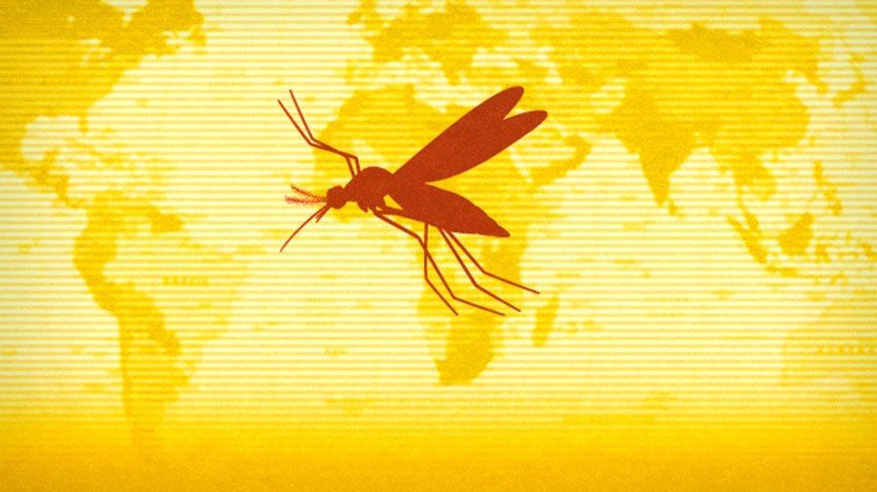Yellow Fever Outbreak In Brazil Has Ended With 261 Deaths | HuffPost