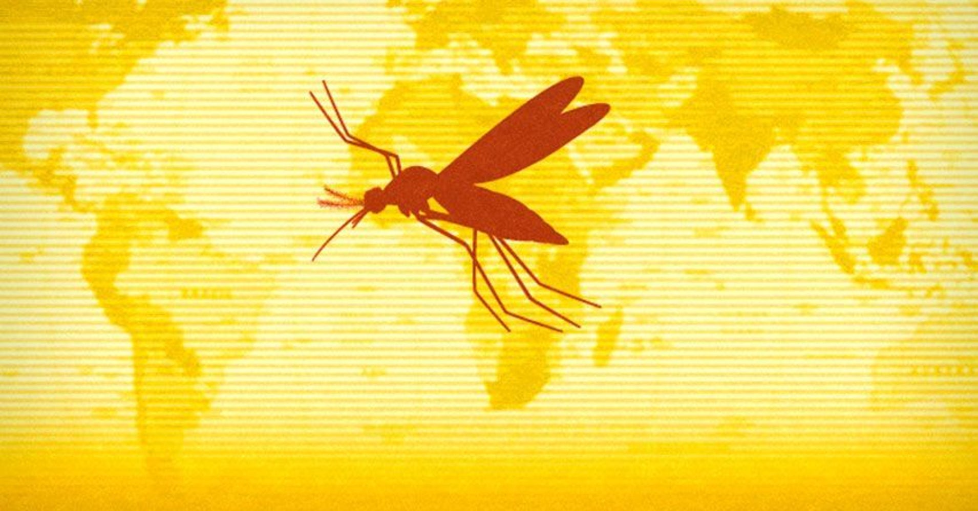 yellow-fever-outbreak-in-brazil-has-ended-with-261-deaths-huffpost