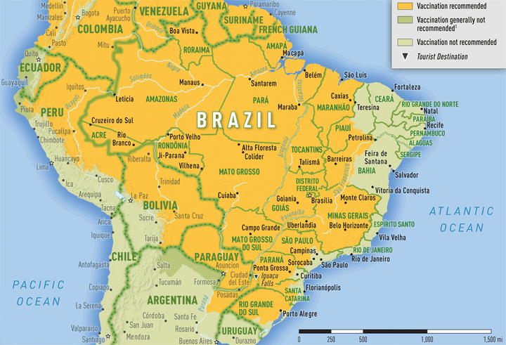 More than 98% of confirmed cases were found in the southeastern states of Brazil. 