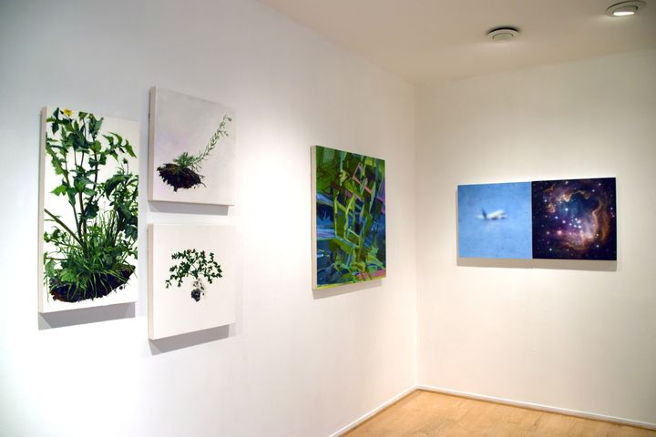 <p>The Reality of Nature, installation view. L to R: Andrea Bersaglieri, Marie Thibeault, Samantha Fields</p>