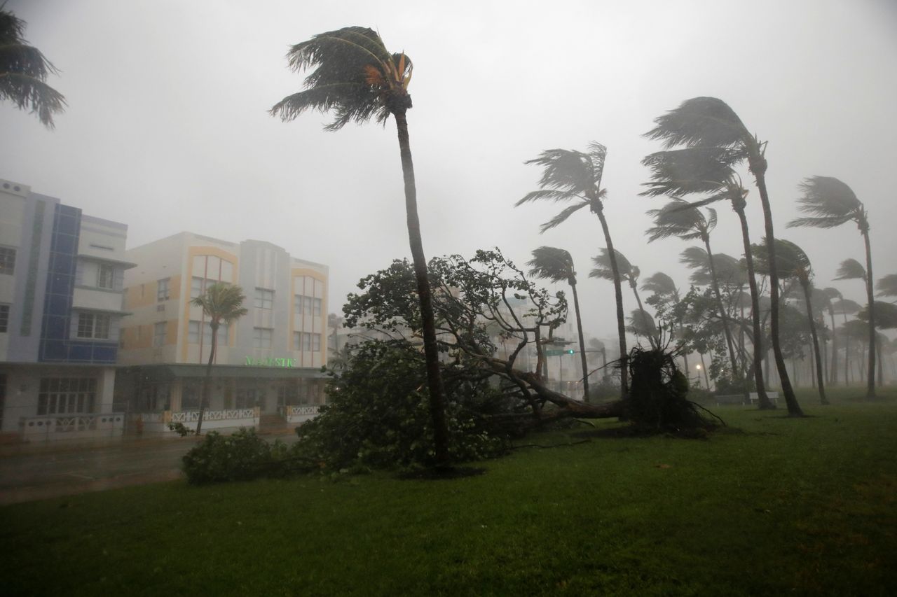 Heavy wind is seen along Ocean Drive in South Beach as Hurricane Irma arrives at south Florida, in Miami Beach.