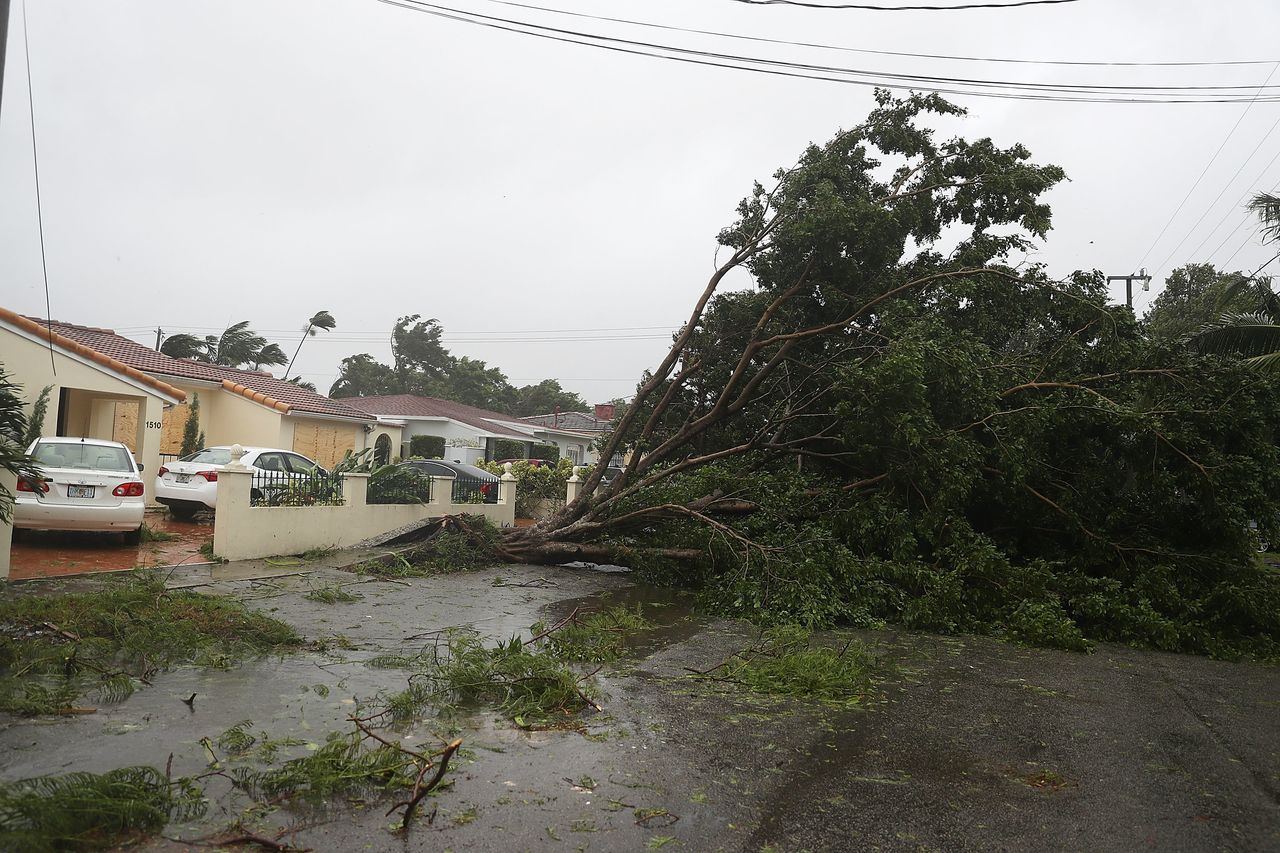 Trees and branches are seen after being knocked down by the high winds as Hurricane Irma arrives in Miami, Florida.