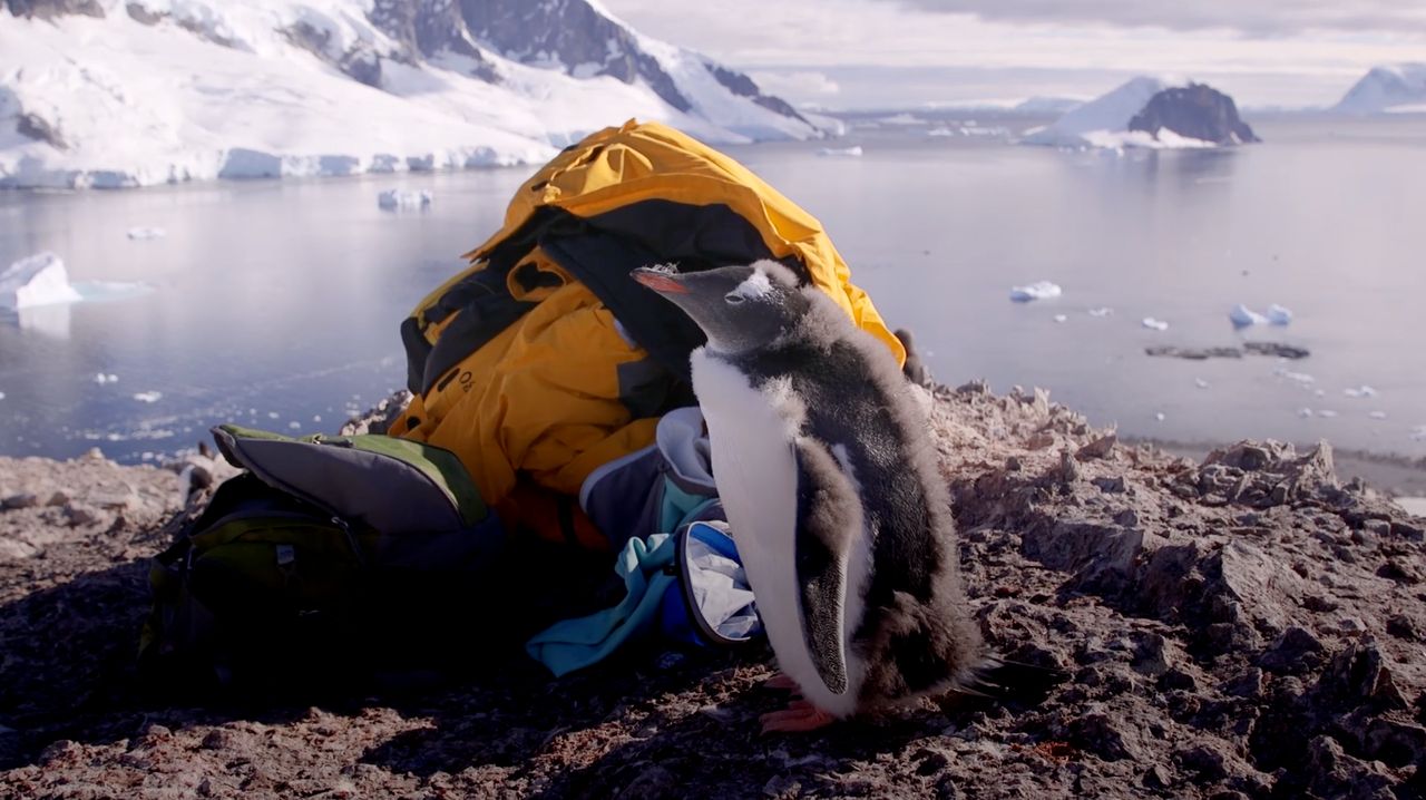 HuffPost UK travelled to Antarctica to see first-hand the effects of climate change.