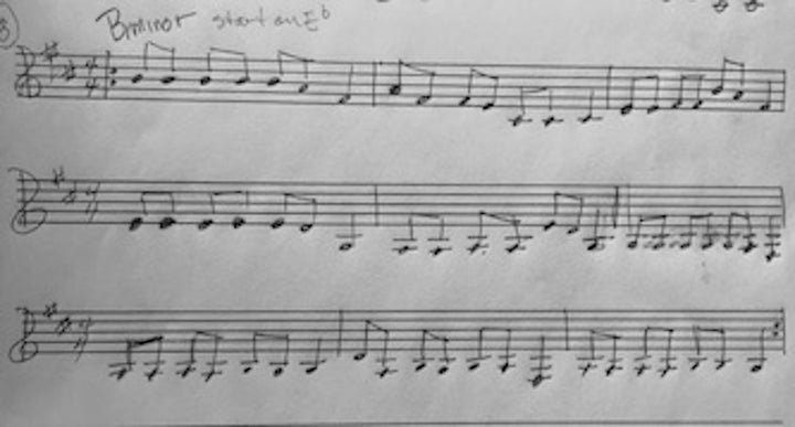 <p>Notated Icaros written by Flicka that were sung by Angelita during ceremony</p>