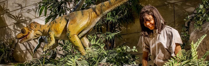 <p>Many creationists deny science. Among other things they argue that humans an dinosaurs lived at the same time.</p>
