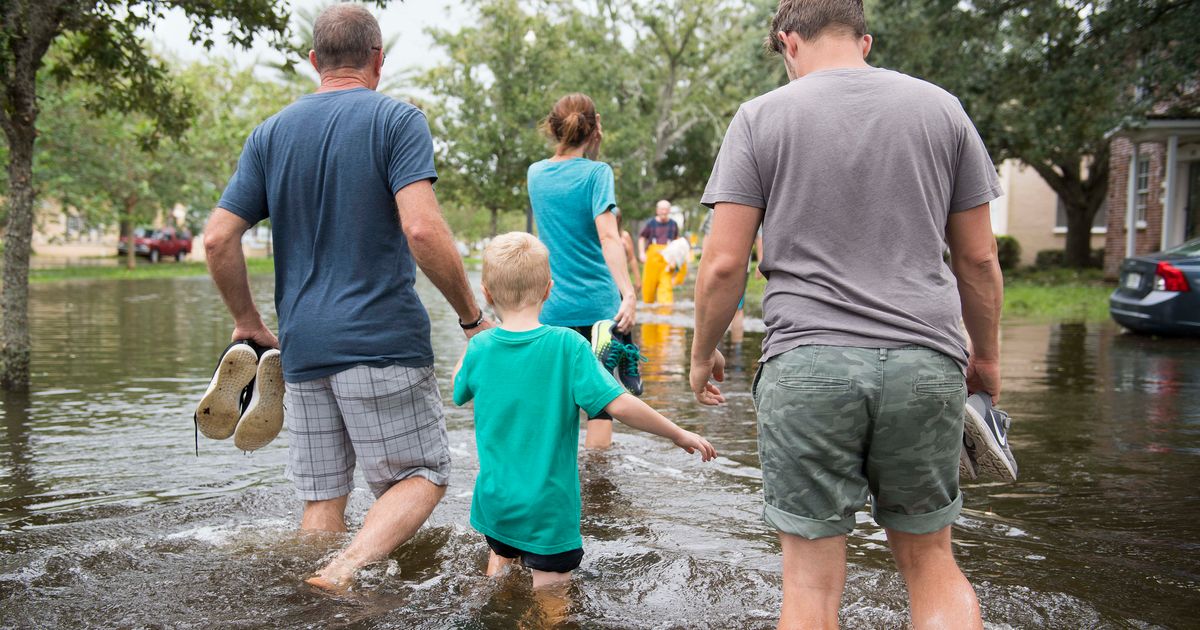 Heres Exactly What Hurricane Irma Victims Need You To Donate Right Now Huffpost Life 0845