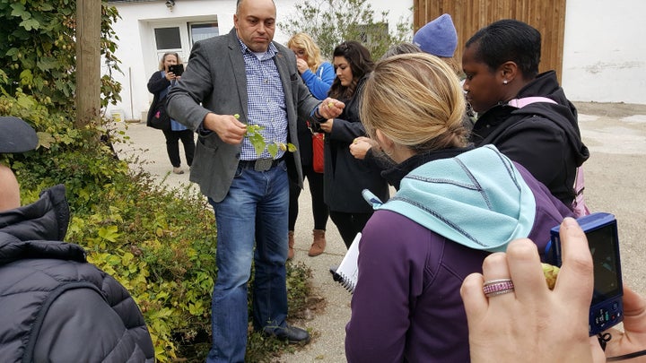<p>Hallertau hops district</p>
