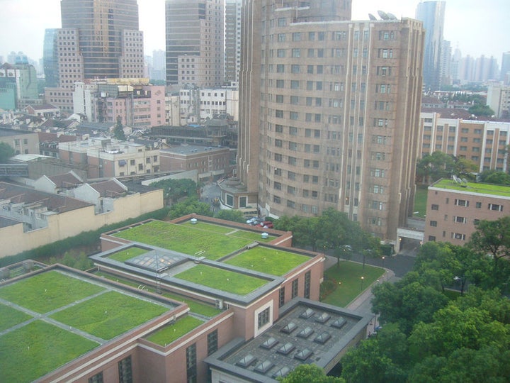 Grassy rooftops in Shanghai. kafka4prez/Flickr, CC BY-SA 