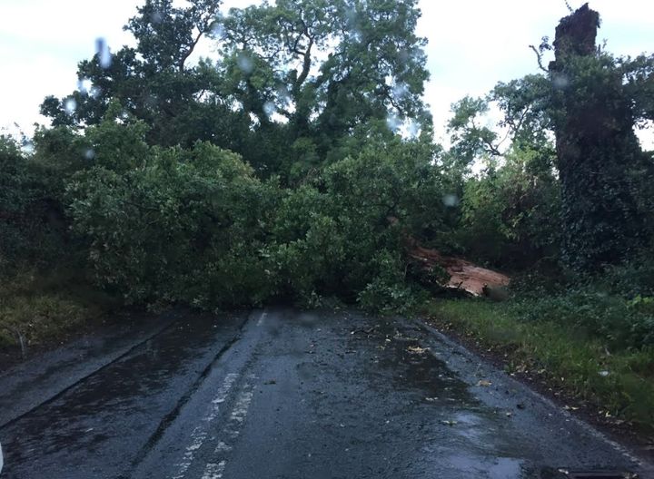 Driver Danielle Burton found this scene on her way to Chester early on Wednesday